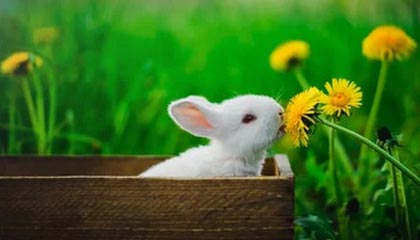 野心暴露！普京做出反常举动，蒙古国白日做梦，中俄必须划下红线