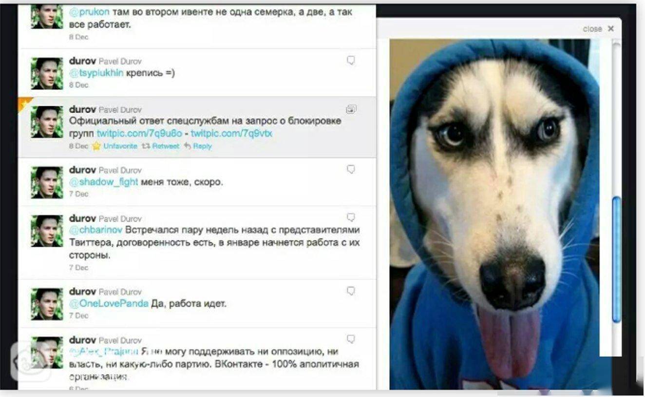 币安加持,TON 生态力推,MEME 币抵抗狗 REDO 成了 TON 链文化之王?