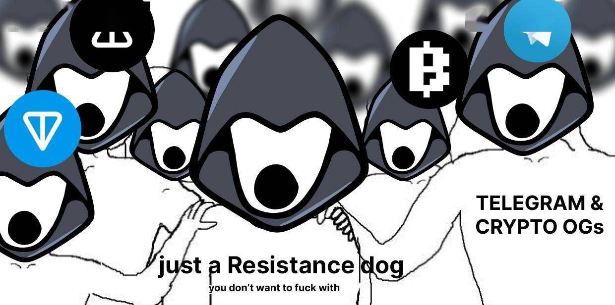 币安加持,TON 生态力推,MEME 币抵抗狗 REDO 成了 TON 链文化之王?