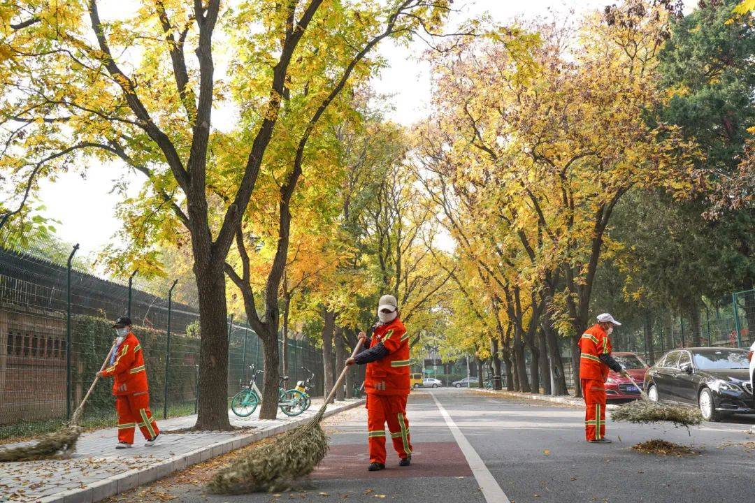 “凌霜绽放”张东梅:三代环卫人的传承者