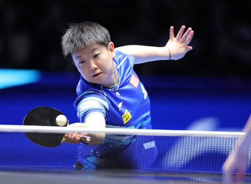 11人入围澳门世界杯名单,樊振东和孙颖莎为国乒多挣了参赛名额