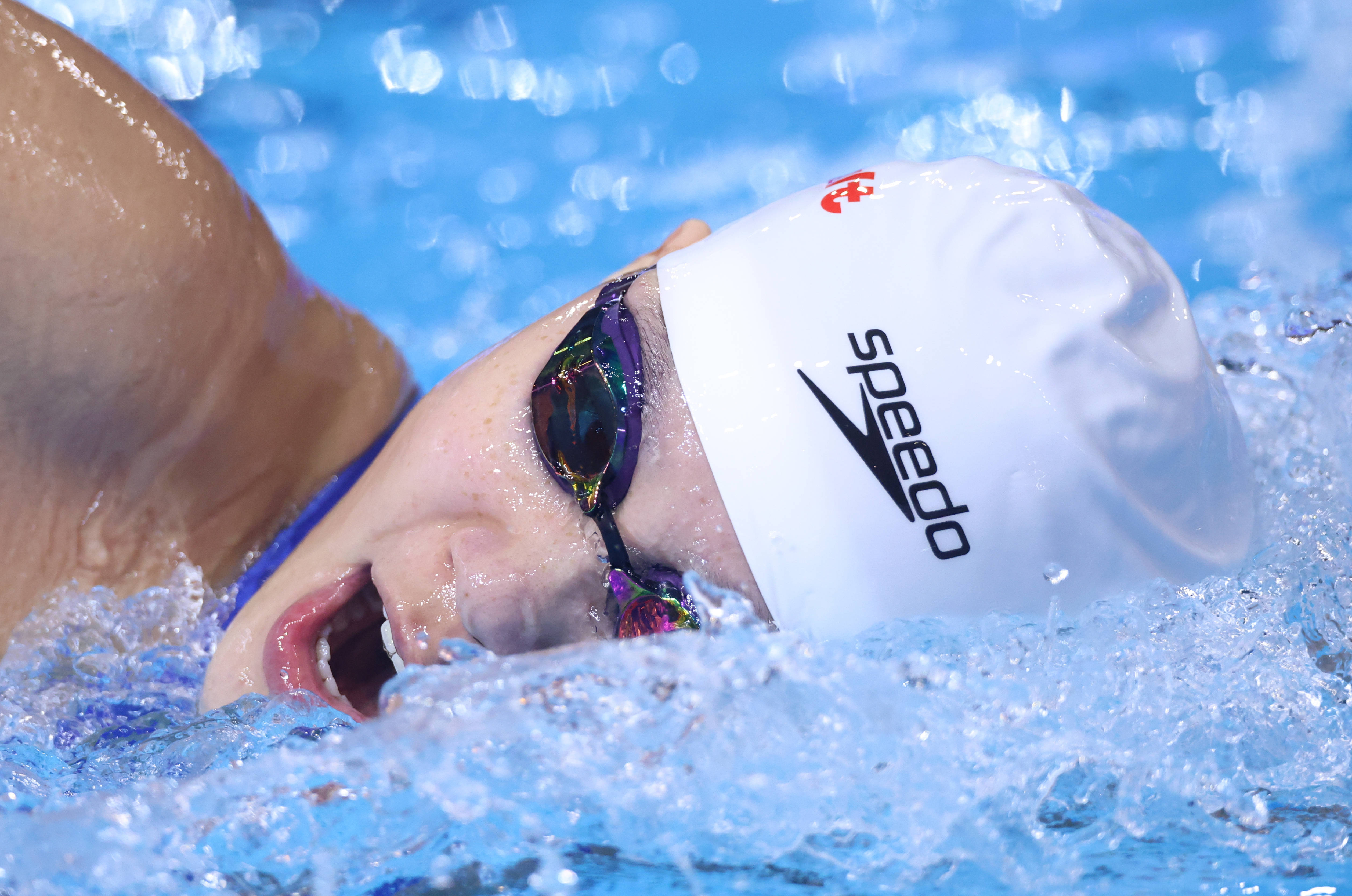 (游泳世锦赛)游泳——女子1500米自由泳决赛赛况