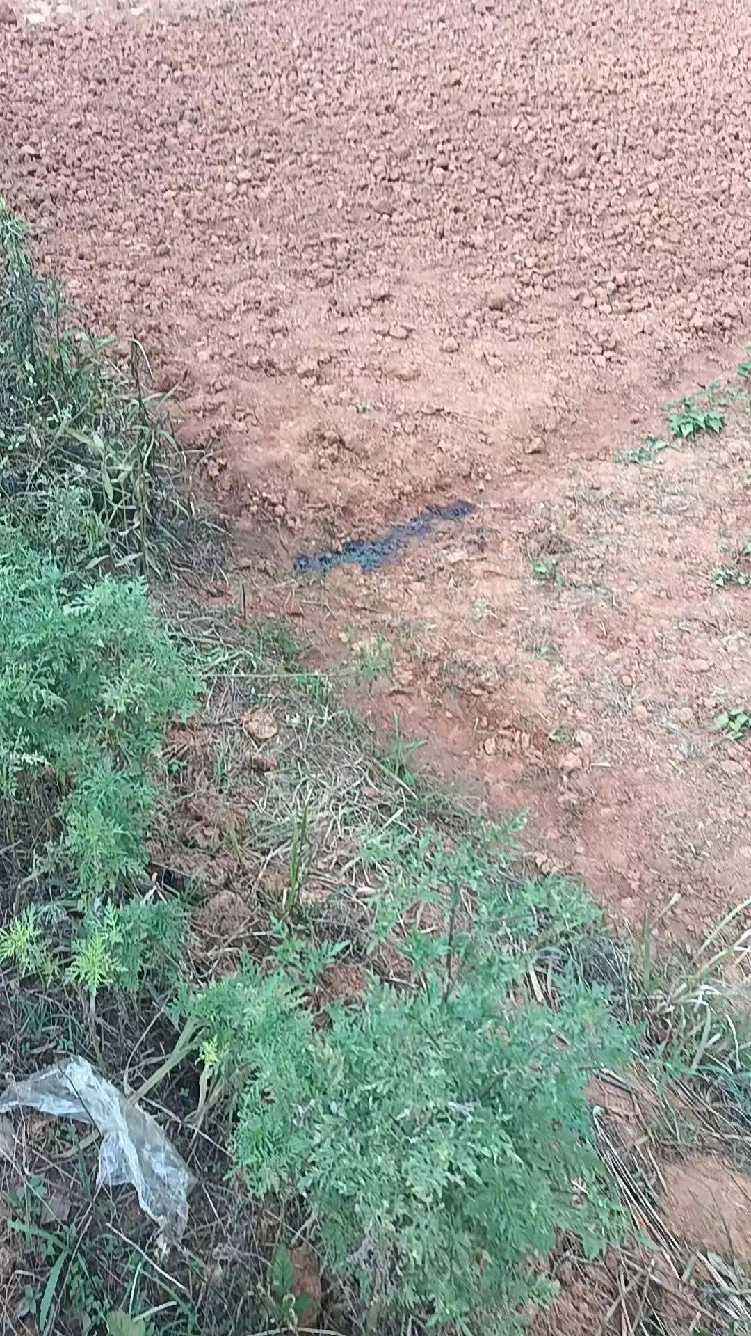 54岁农民工在工地附近如厕被气枪击杀,肇事者自首,用工单位愿补偿25万,家属发声