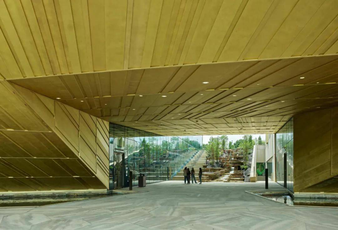 身家千亿美元的沃尔玛小公主:不上班,不生娃,只烧钱