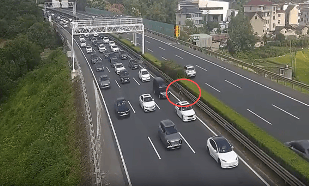 小男孩独自在高速上奔跑，过往车辆纷避让，家长下车方便时娃丢了