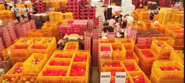 产销两旺!“小特产”变身变身乡村振兴“致富果” 激活“甜蜜经济”新热力