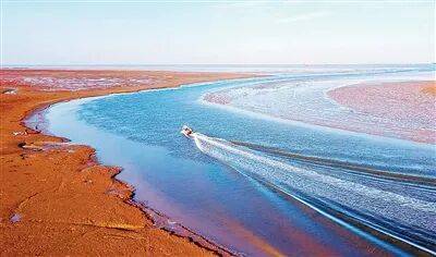 生态文明建设实现新进步(新时代画卷·决战决胜“十四五”)