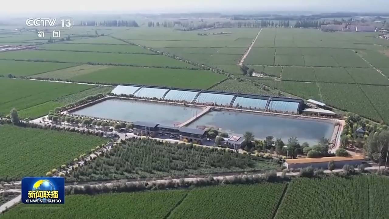 新思想引领新征程丨绘就乡村全面振兴壮美画卷