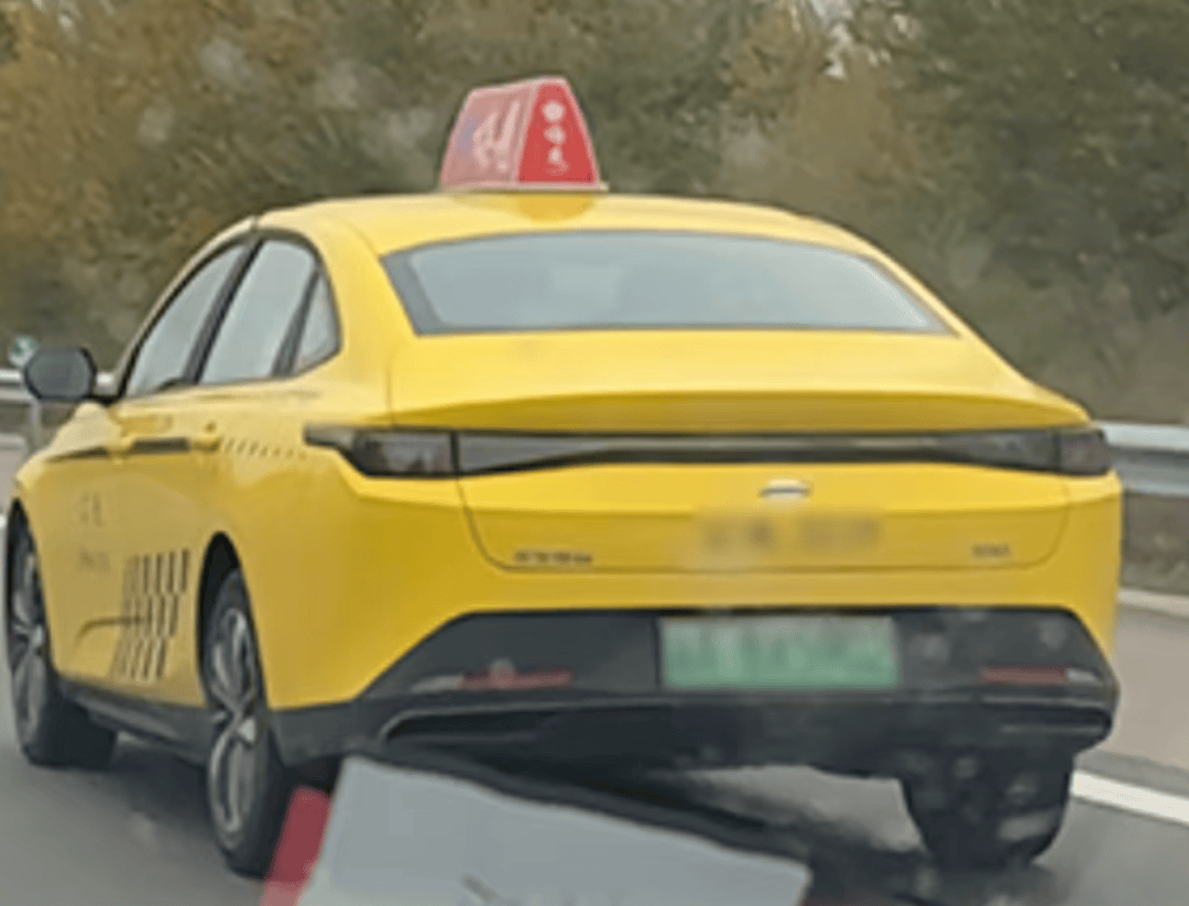 博主重庆打出租车直达内蒙古:车费超5000元,将继续一路向北