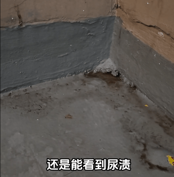 上海有外卖员在楼道看着监控继续尿尿!居民苦不堪言:第二天味道就上来了