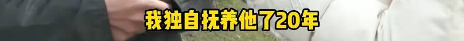 “天塌了,我一生都毁了”,男子称养了20年才发现儿子非亲生!前妻坚决否认