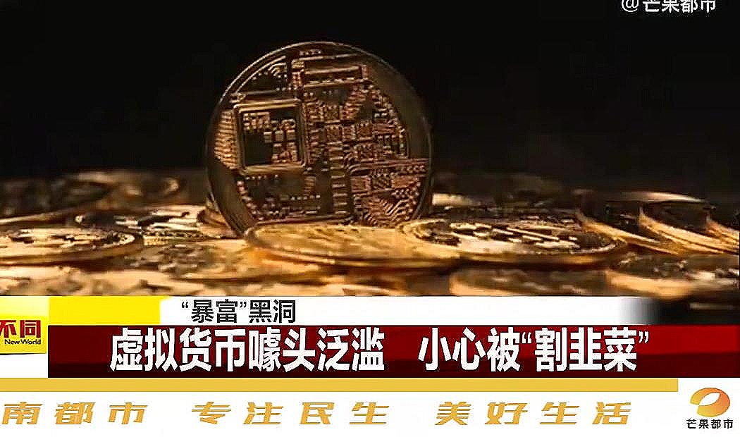 虚拟币传销(虚拟币传销案件)